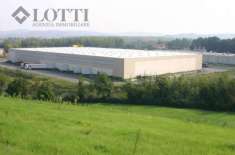 Foto Capannone industriale in vendita a Selvatelle - Terricciola 12500 mq  Rif: 724384