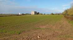 Foto casa a 200 metri dal mare