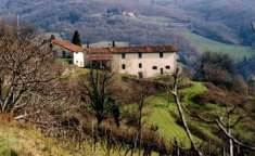 Foto Casa colonica in vendita a Pontassieve