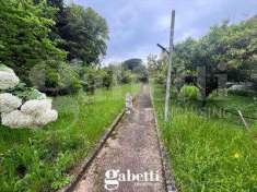 Foto Casa Indipendente in Vendita, pi di 6 Locali, 325 mq (Calvi Ris