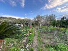 Foto Casa indipendente in vendita a Barcellona Pozzo Di Gotto