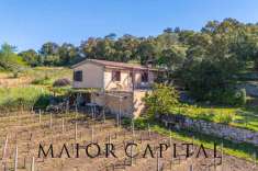 Foto Casa indipendente in vendita a Calangianus