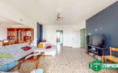 Foto Casa indipendente in vendita a Casal Cermelli