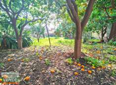 Foto Casa indipendente in vendita a Giarre