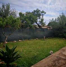 Foto Casa indipendente in vendita a Marsala