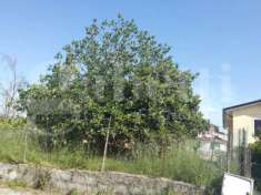 Foto Casa indipendente in vendita a Monte San Giovanni Campano