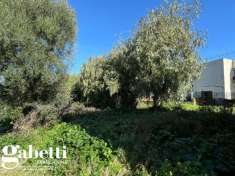 Foto Casa indipendente in vendita a Patti