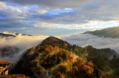Foto Casa indipendente in vendita a Pescia