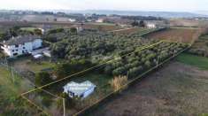 Foto Casa indipendente in vendita a Porto Sant'Elpidio