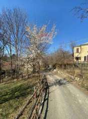 Foto Casa indipendente in vendita a Rezzoaglio