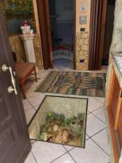 Foto Casa indipendente in vendita a Scicli