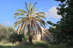 Foto Casa indipendente in vendita a Settimo San Pietro