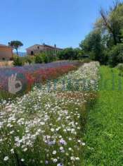 Foto Casa indipendente in vendita a Spello