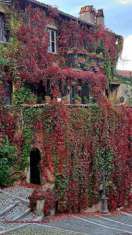 Foto Casa indipendente in vendita a Tagliacozzo