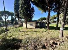 Foto Casa indipendente in vendita a Tarquinia