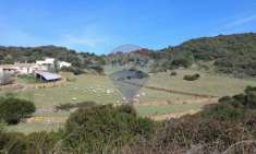 Foto Casa indipendente in vendita a Teulada