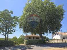 Foto Casa indipendente in vendita a Torrevecchia Teatina
