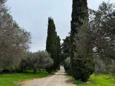 Foto Casa indipendente in Vendita a Verona Biondella