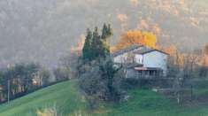 Foto Casa indipendente in vendita a Viano - 8 locali 268mq