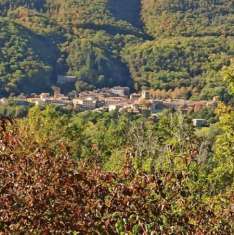 Foto Casa semindipendente in vendita a Montieri 80 mq  Rif: 1077150