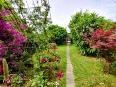 Foto Casa semindipendente in vendita a Pietrasanta 90 mq  Rif: 1278163