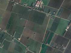 Foto Casa singola in Vendita, 5 Locali, 113 mq, Cocconato