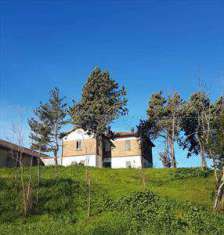 Foto Casa singola in Vendita, pi di 6 Locali, 550 mq, Tavullia