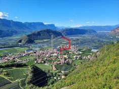 Foto Casa singola in Vendita, pi di 6 Locali, 600 mq, Trodena (San L