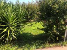 Foto Casa singola in vendita a Caniparola - Fosdinovo 160 mq  Rif: 1284959