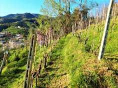 Foto Casa singola in vendita a Carrara 250 mq  Rif: 1032817