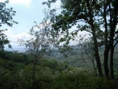 Foto Casa singola in vendita a Fosdinovo 42 mq  Rif: 1036132