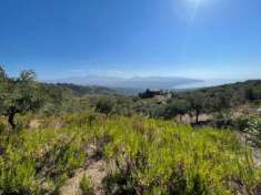 Foto Casal Velino a 3 Km dal mare terreno mq 6.650