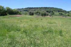 Foto Casale con terreno
