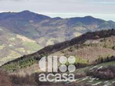 Foto CASALE CON TERRENO