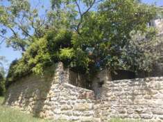 Foto CASALE CON ULIVETO