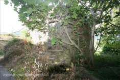 Foto Casale in vendita a Cortona