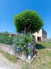 Foto Casale in vendita a Mondolfo