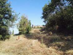 Foto Casale in vendita a Monteroni D'Arbia