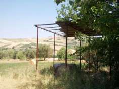 Foto Casale in vendita a Offida