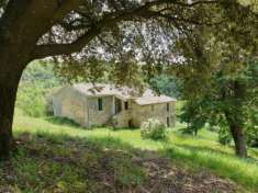 Foto Casale in vendita a Orvieto