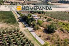 Foto Casale in vendita a Scansano