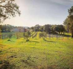 Foto Cascina in vendita a Berchidda