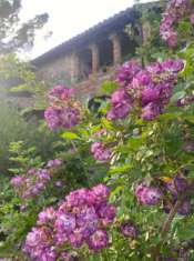 Foto Cascina in vendita a Narni