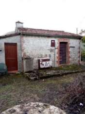 Foto Casetta rustica di 40 mq su uliveto secolare/terreno di 2050 mq
