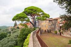 Foto Castello in vendita a Montecarlo