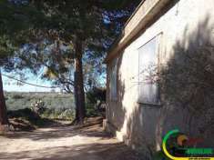 Foto Castelvetrano- c.da Rampante Favara- vendita in blocco terreno agricolo con casa indipendente ,rudere e magazzino