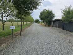 Foto Cavalli, Mucche, Capre, Cani, Gatti, Galline e ...