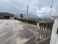 Foto Cedesi azienda operante nella vendita allingrosso e al minuto di vini e liquori