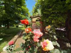Foto Cesena Nord, villa di ampia metratuira