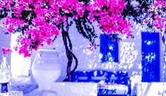 Foto Close to Sirmione-adiacenze Sirmione